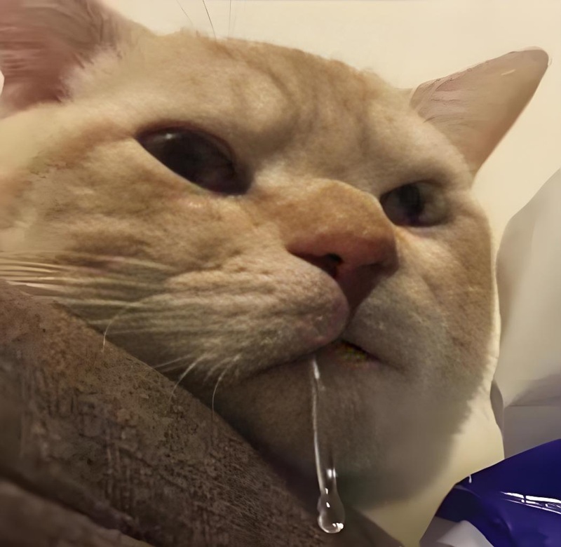 meme thèm thuồng 21