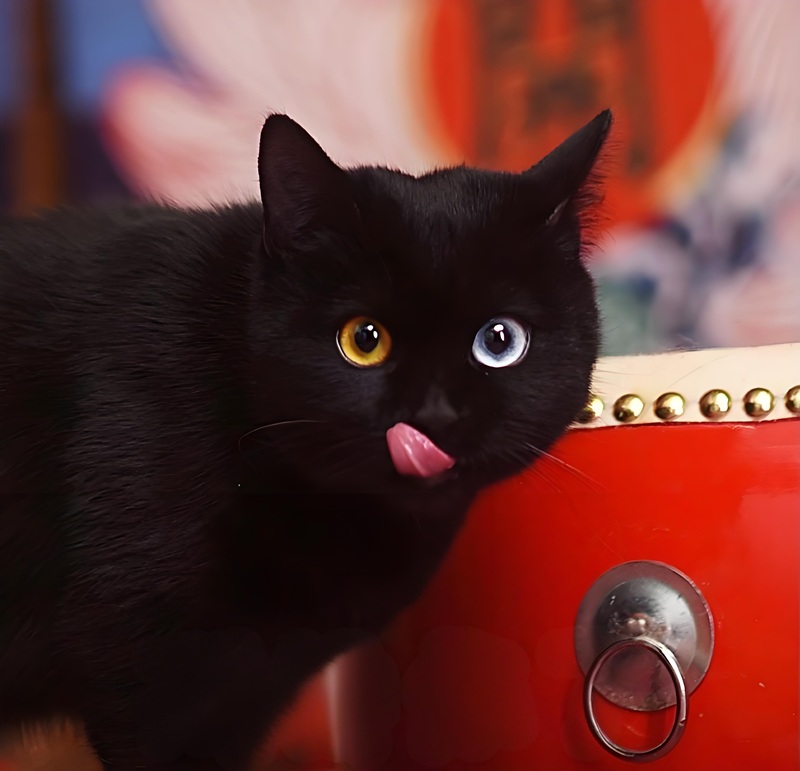 meme thèm thuồng 28