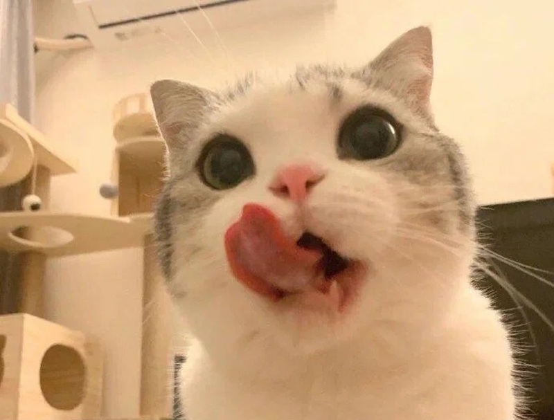 meme thèm thuồng 35