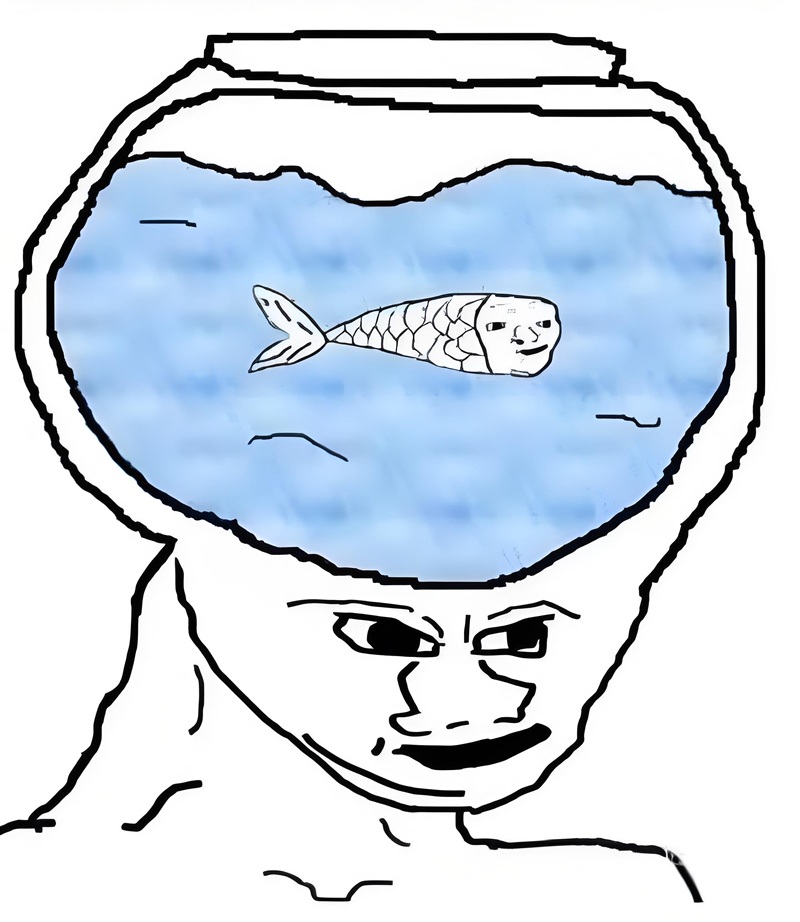 meme thiểu năng 2