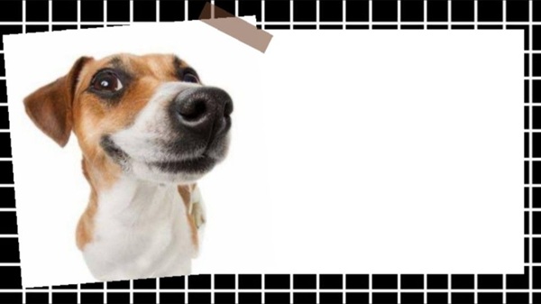 meme thuyết trình 14