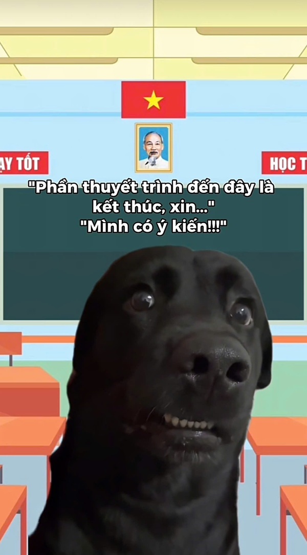 meme thuyết trình 34