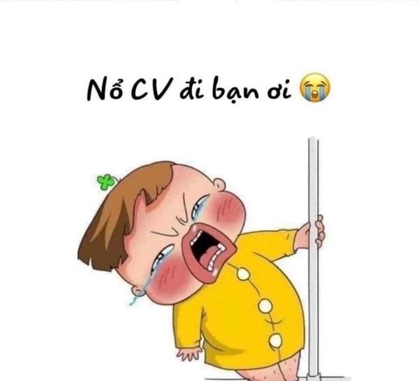 meme tuyển dụng 1