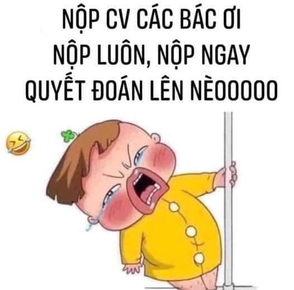 meme tuyển dụng 14