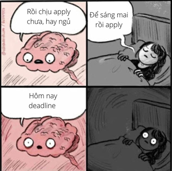 meme tuyển dụng 31