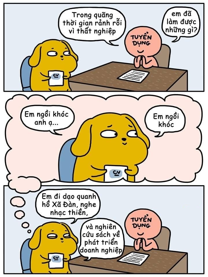 meme tuyển dụng hài hước
