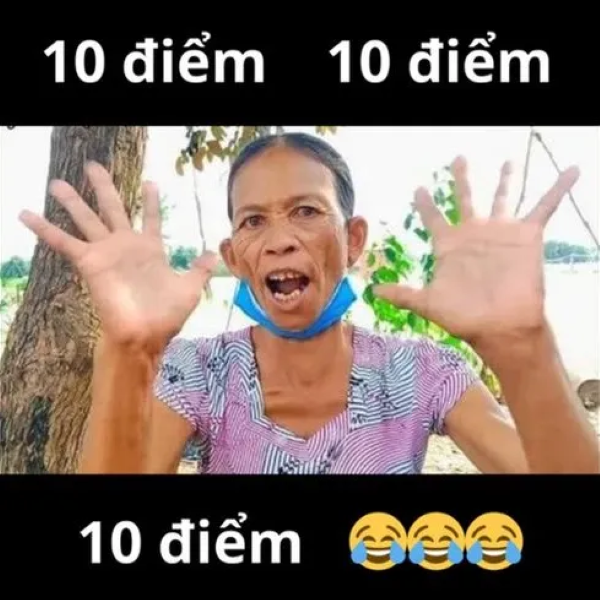 meme tuyệt vời 12