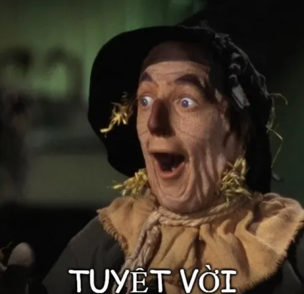 meme tuyệt vời 17