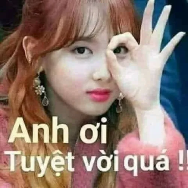 meme tuyệt vời 20