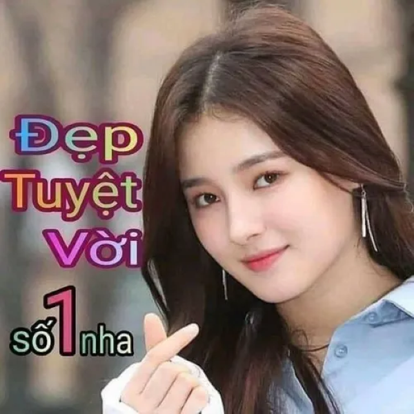 meme tuyệt vời 24