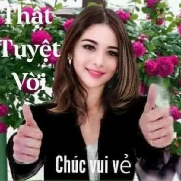 meme tuyệt vời 25