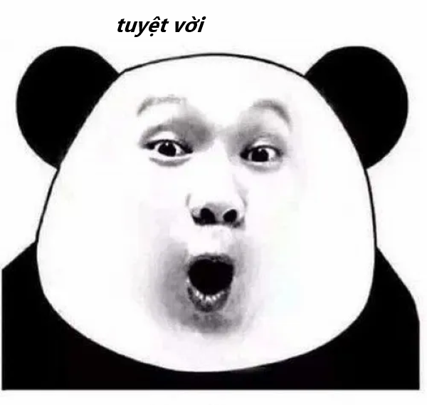 meme tuyệt vời 29