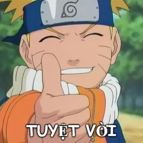 meme tuyệt vời 30