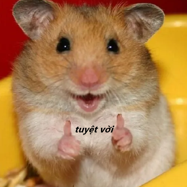 meme tuyệt vời 32