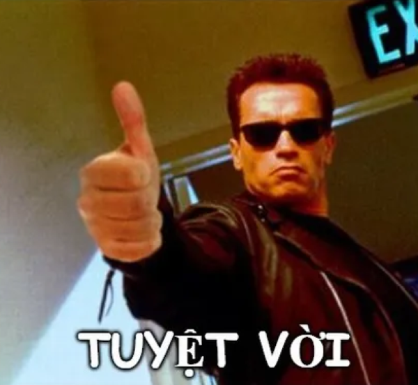 meme tuyệt vời 35