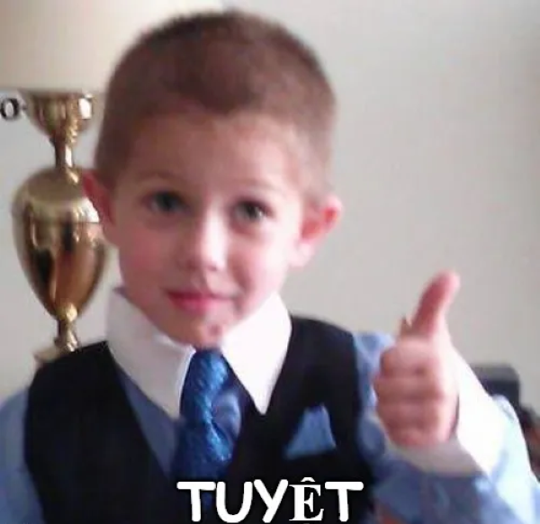 meme tuyệt vời 39