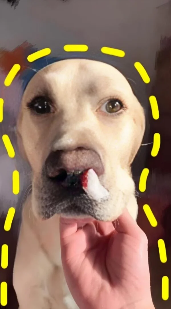 meme xịt máu mũi 22