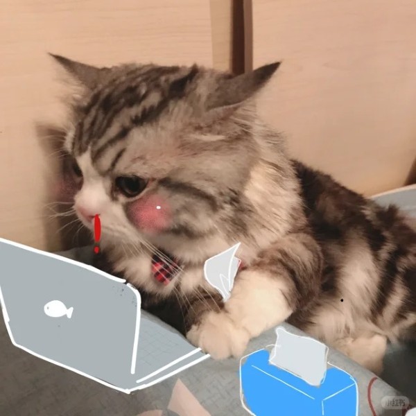 meme xịt máu mũi 36