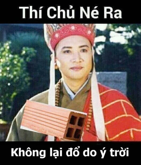 meme ý trời 25