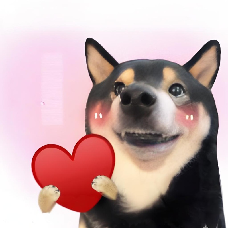 meme yêu nhiều 24