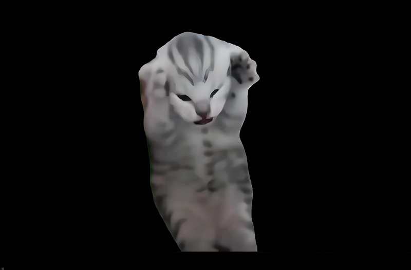 mèo meme ôm đầu