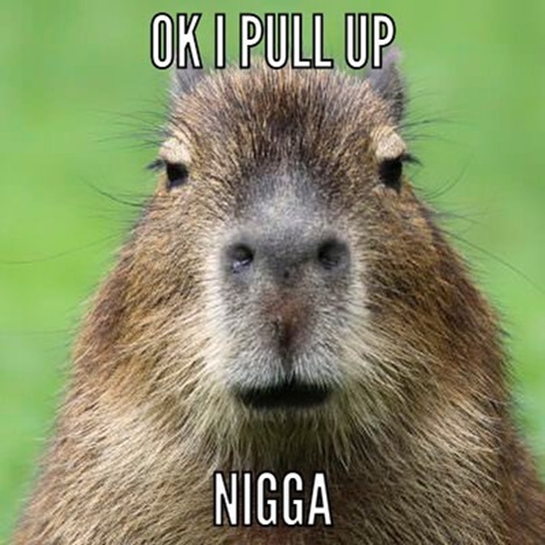 nigga meme 14