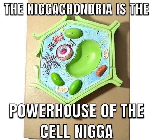 nigga meme 31