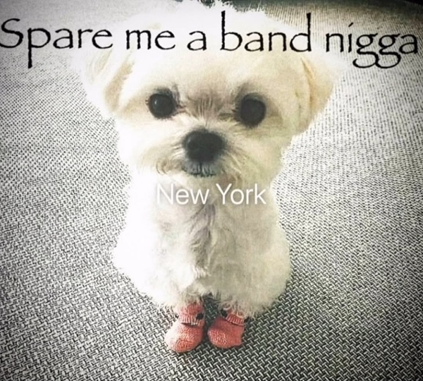 nigga meme 41