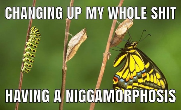 nigga meme 9