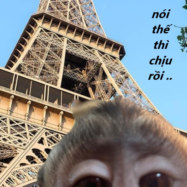 nói thế thì chịu rồi meme 1