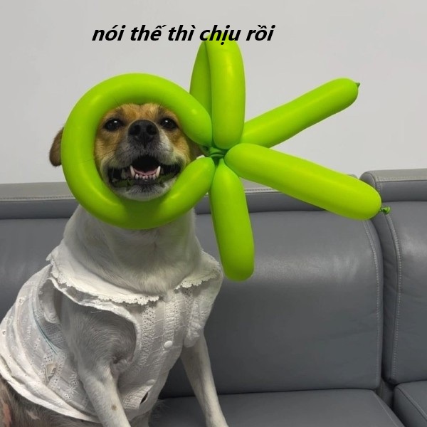 nói thế thì chịu rồi meme 15