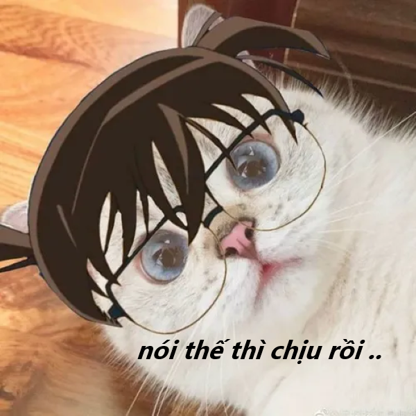 nói thế thì chịu rồi meme 2