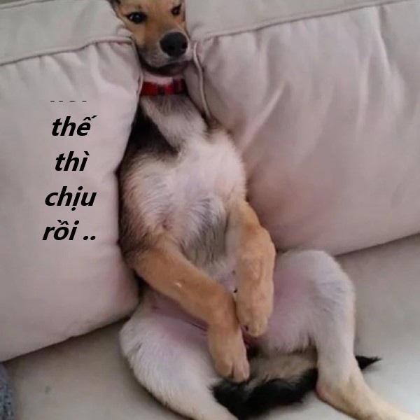 nói thế thì chịu rồi meme 20