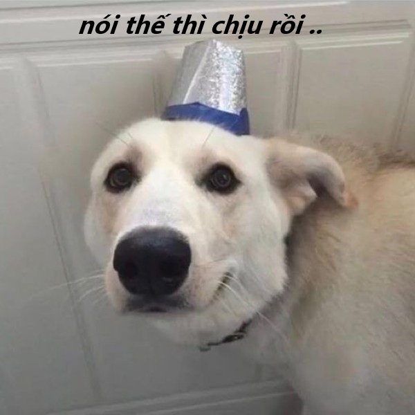 nói thế thì chịu rồi meme 21