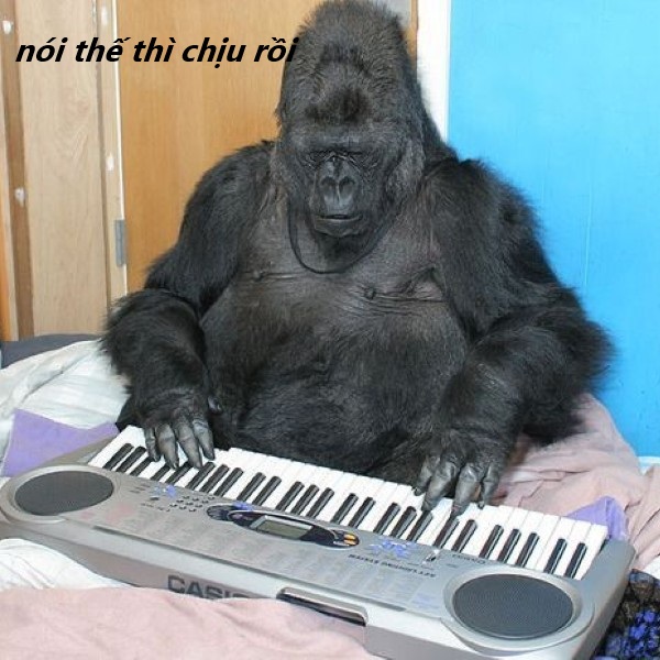 nói thế thì chịu rồi meme 34