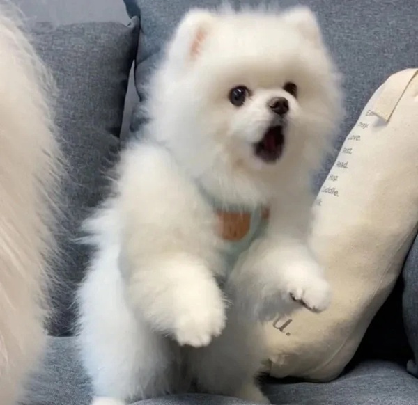 omg meme 21 omg meme 21