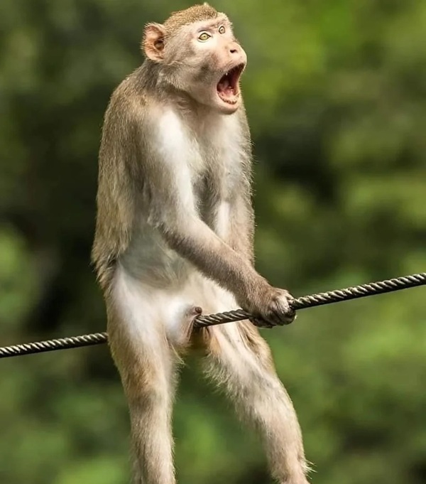 omg meme 25 omg meme 25