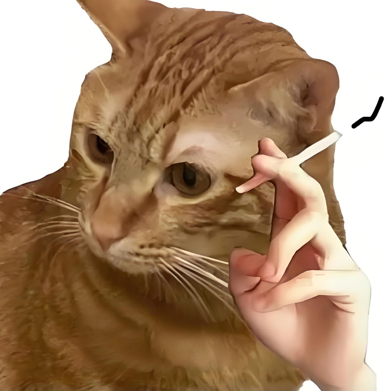 overthinking meme 14