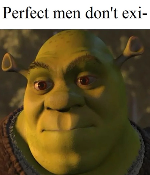 shrek meme 1