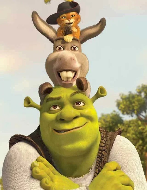 shrek meme 13