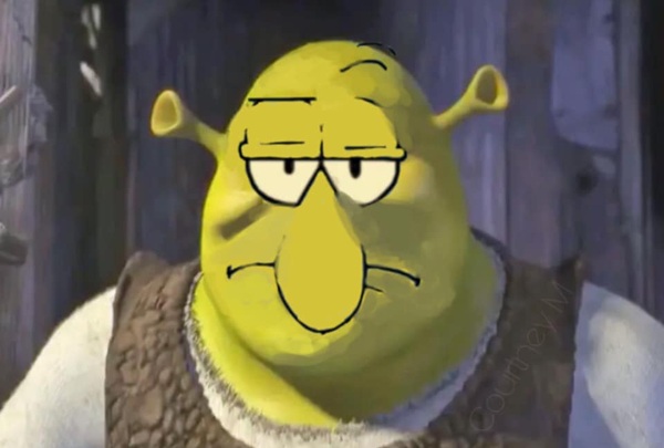 shrek meme 14