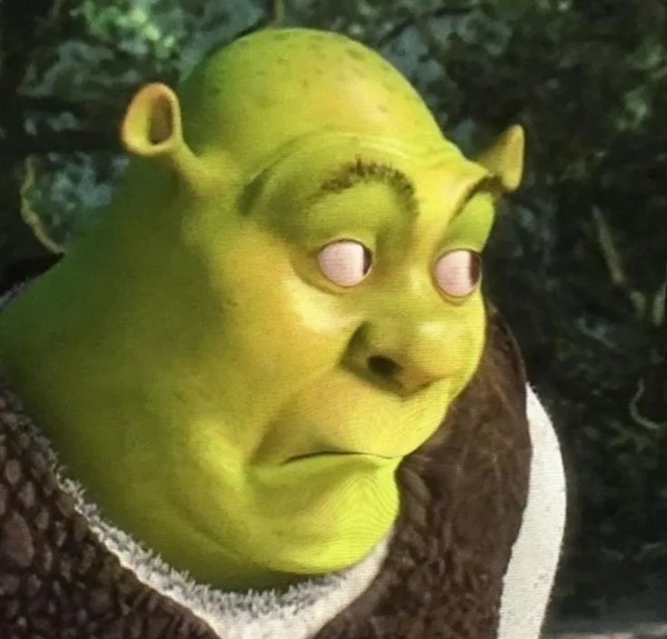 shrek meme 17