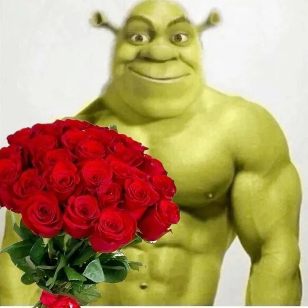 shrek meme 19