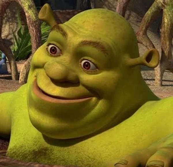 shrek meme 25