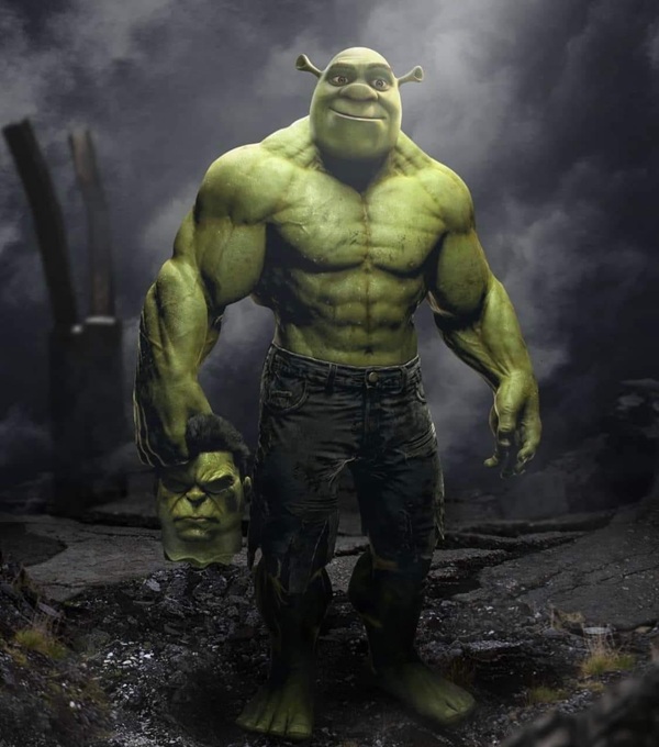 shrek meme 27