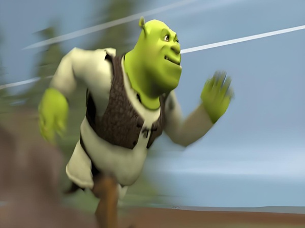 shrek meme 28