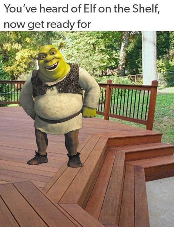 shrek meme 29