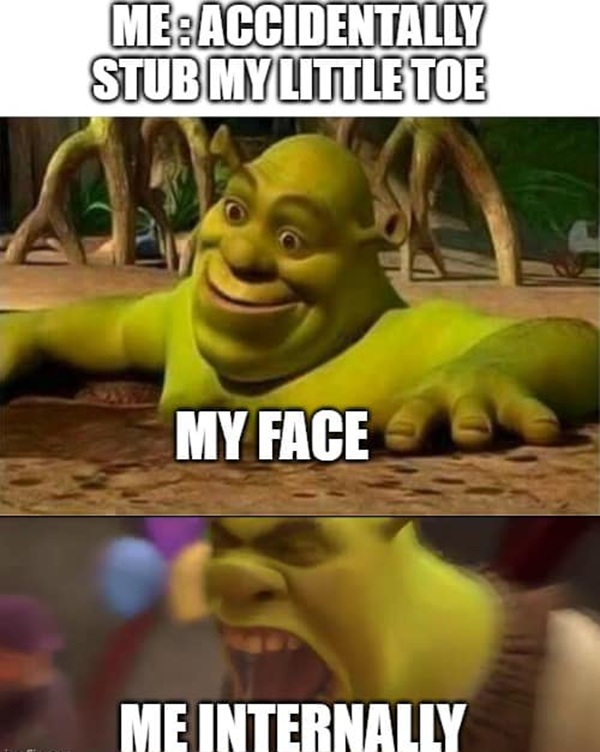 shrek meme 30