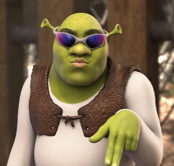 shrek meme 34