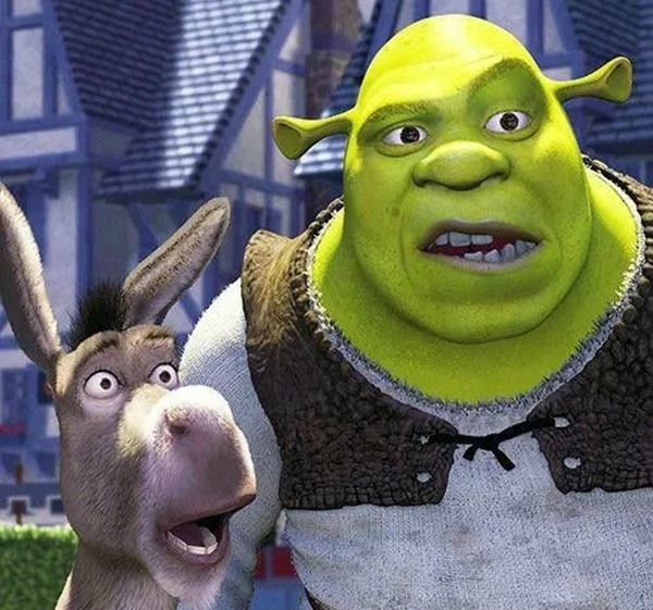 shrek meme 35